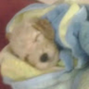 Meet your Posher, Colton